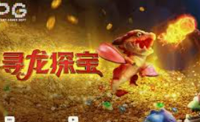 ledong网页版入口2024最新版