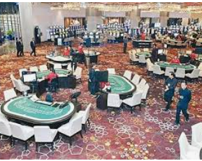 ledong网页版入口客户端